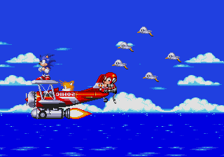 'Sonic, the plane's flying a little heavy...'