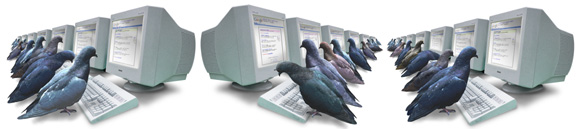 PigeonRank System
