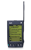 palm vii